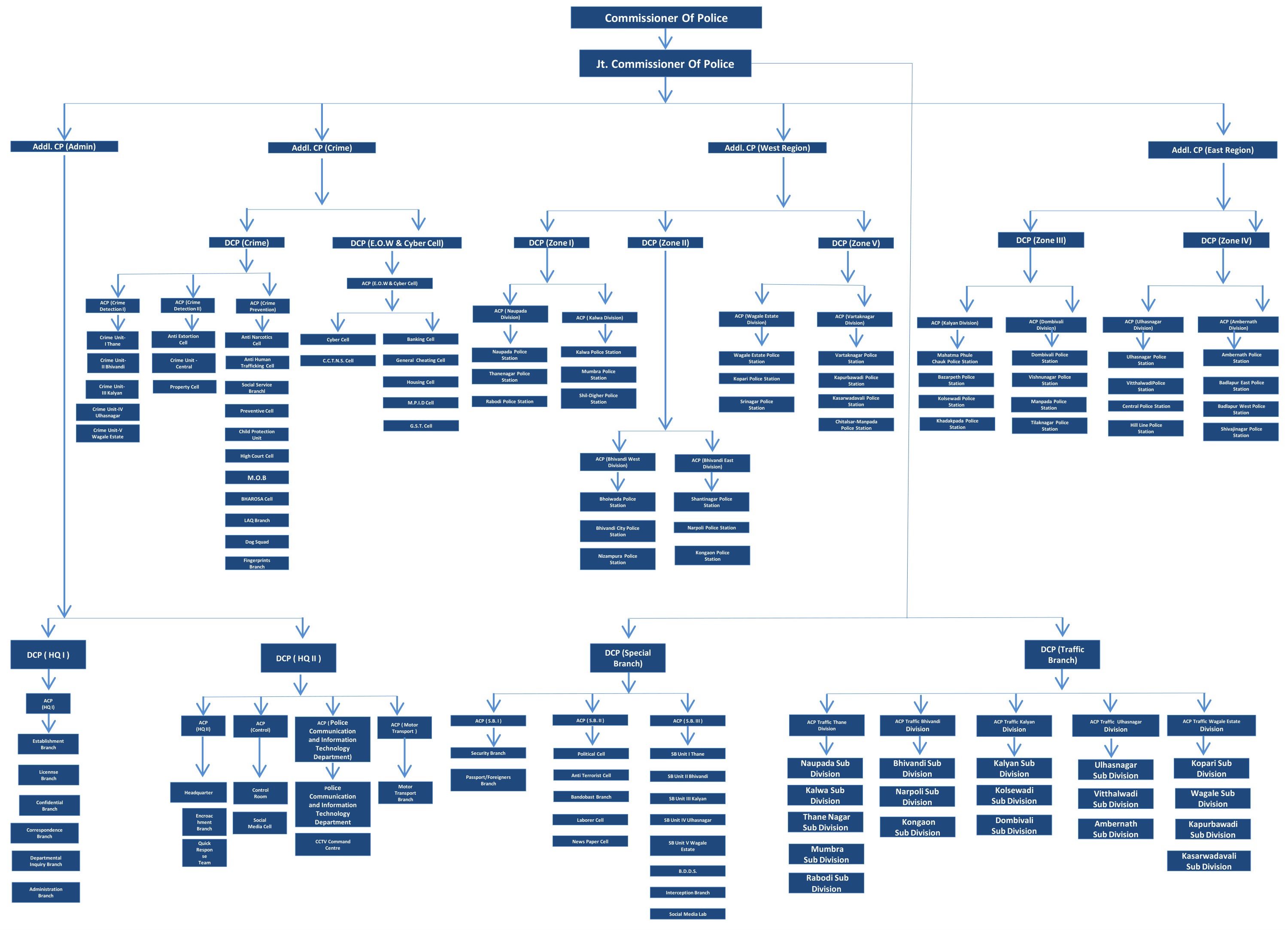 Organization Structure